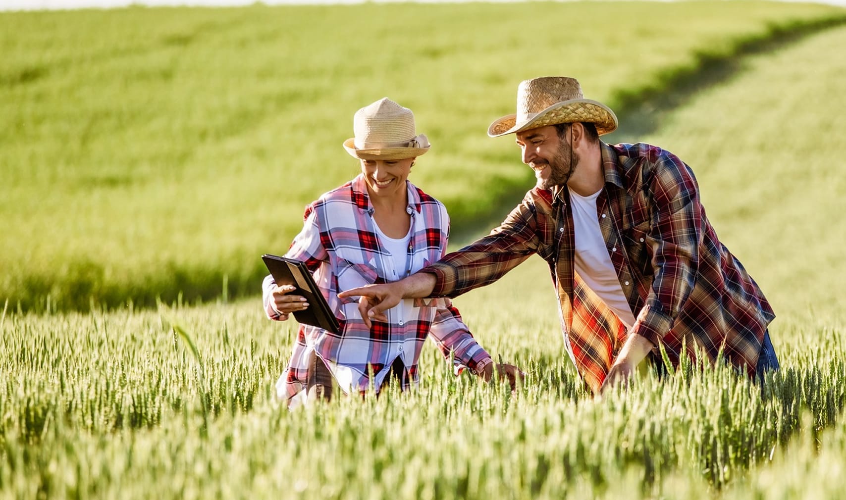 Image - Agriculture